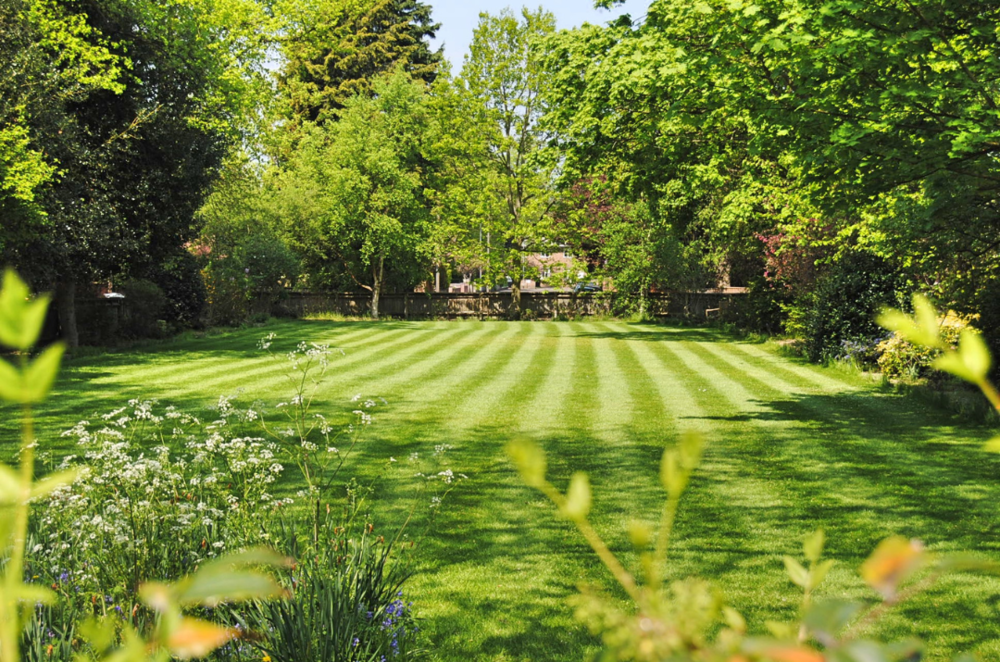 lawn