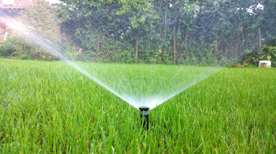 sprinker watering green grass