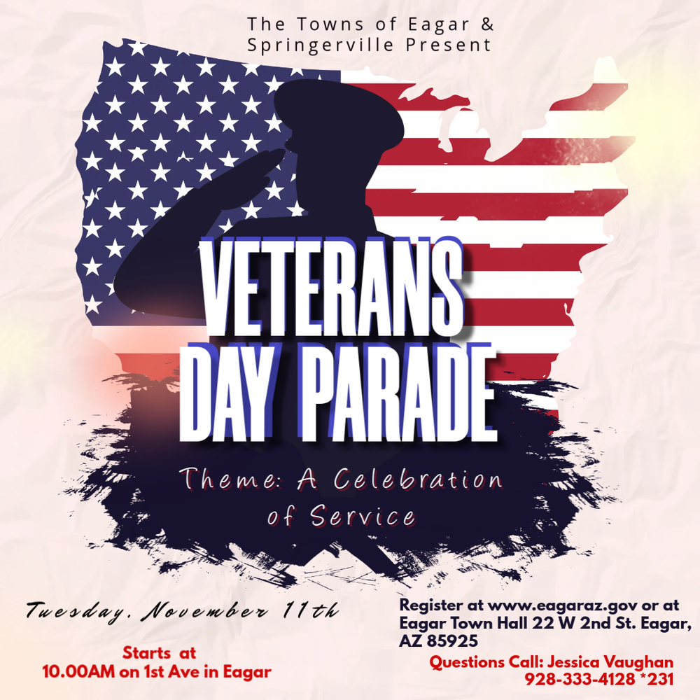 Veterans Day Flyer