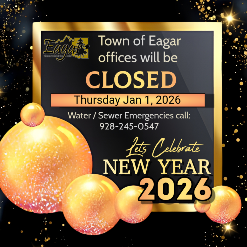 Closed for New Year 2026 Flyer 