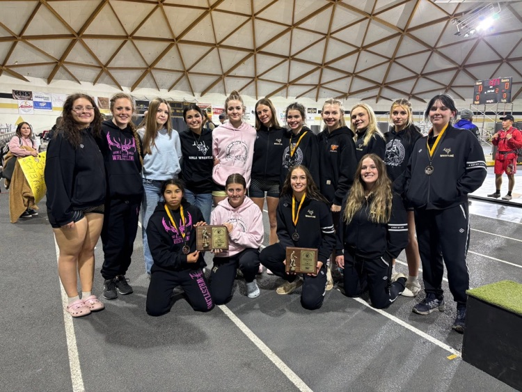 girls wrestling team