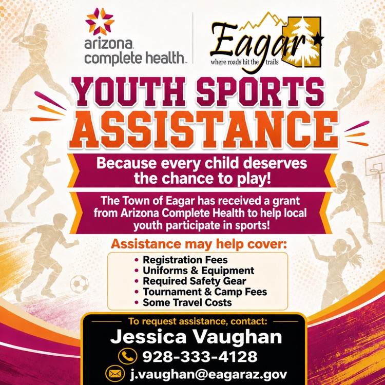 youth sports grant flyer