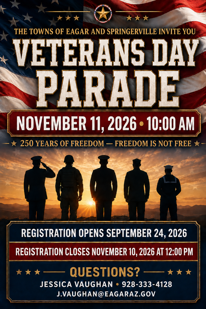 Veterans Day Flyer