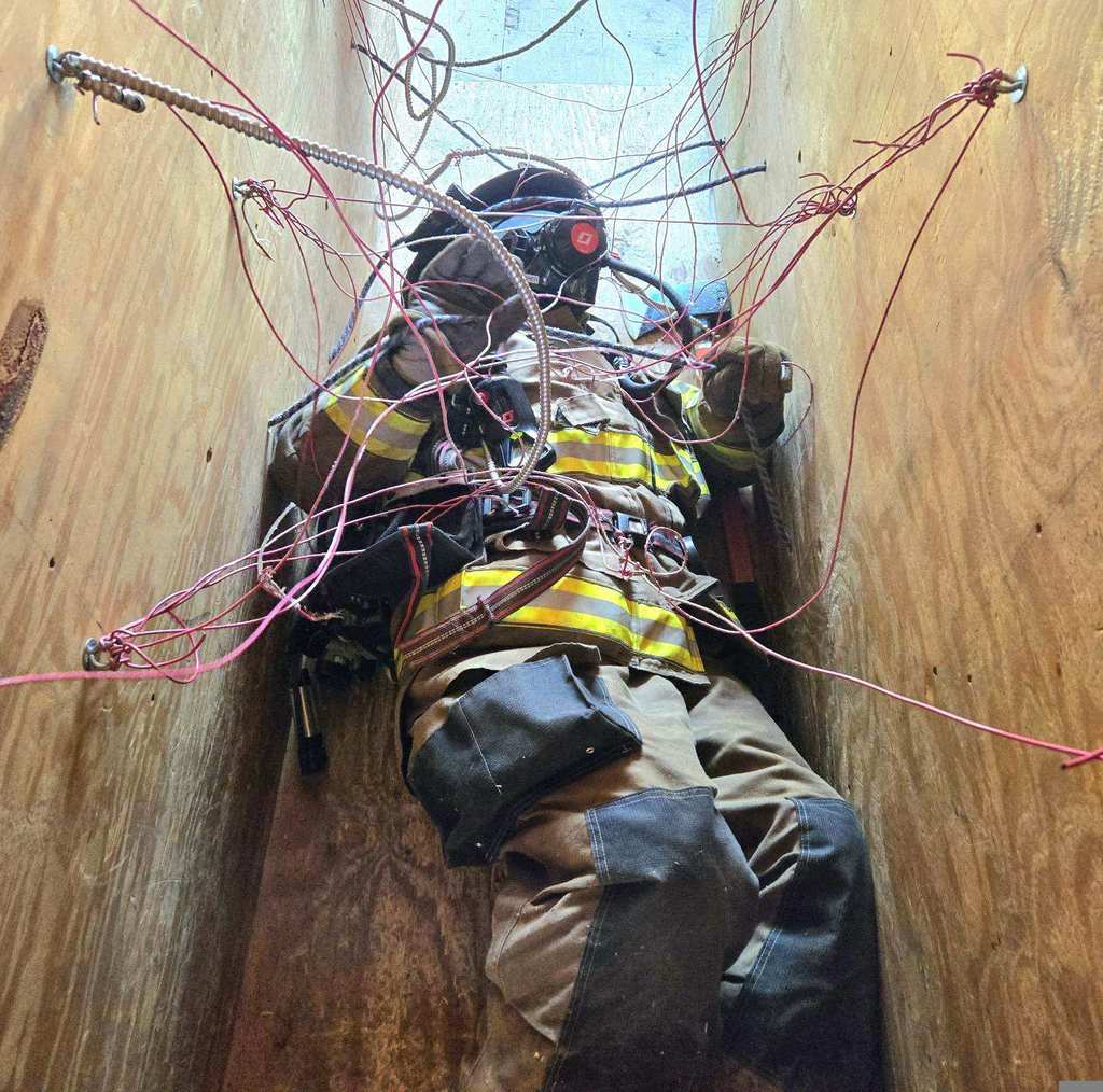 entanglement box