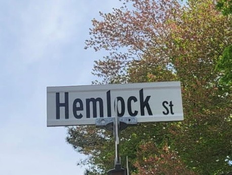 Hemlock Street Sign
