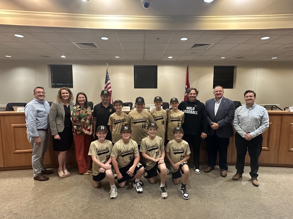 Little League Baseball Recognition