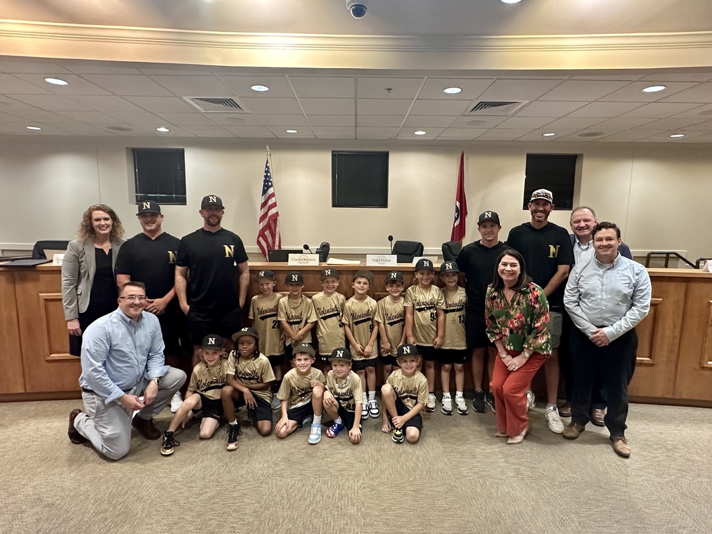 Little League Baseball Recognition