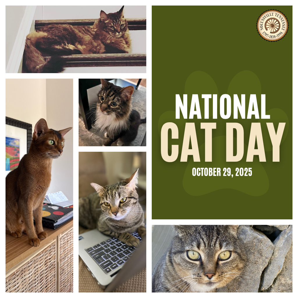 Happy National Cat Day