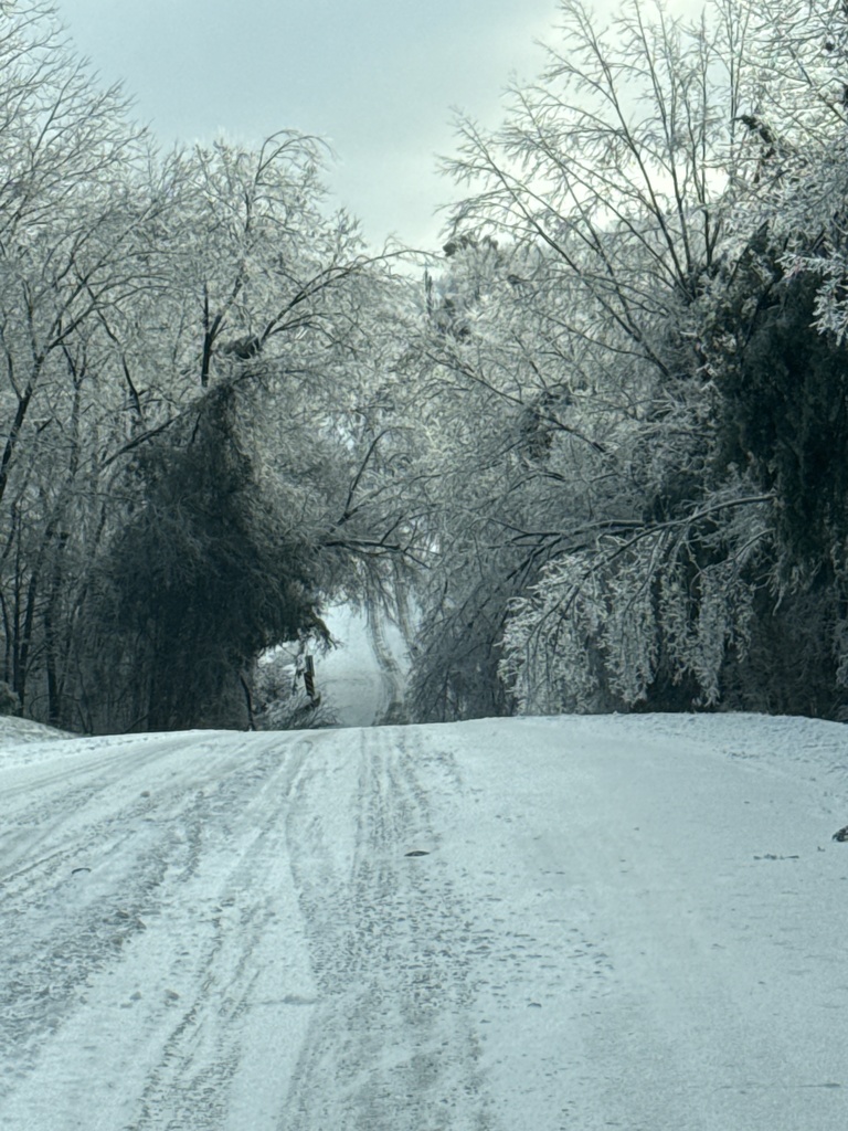 Nolensville Snow January 26, 2026