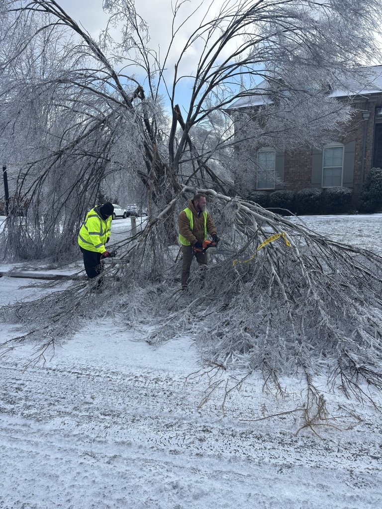 Nolensville Snow January 26, 2026