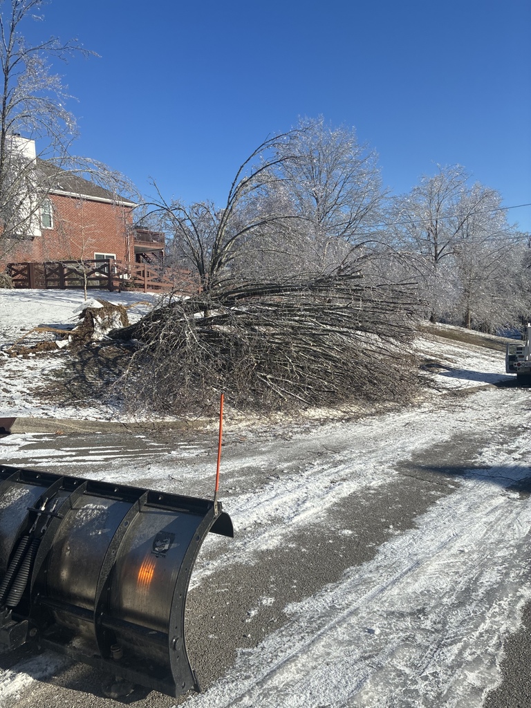 Nolensville Snow January 27, 2026