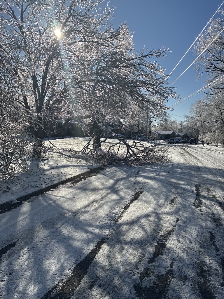 Nolensville Snow January 27, 2026