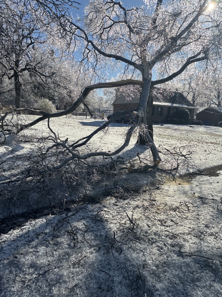 Nolensville Snow January 27, 2026