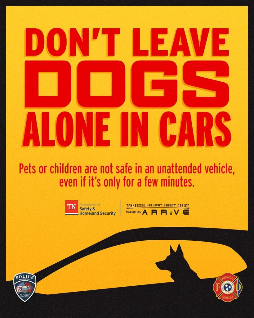 An illustration of a dog inside a car. Large red text above reads: “Don’t leave dogs alone in cars. Pets or children are not safe in an unattended vehicle, even if it’s only for a few minutes.”