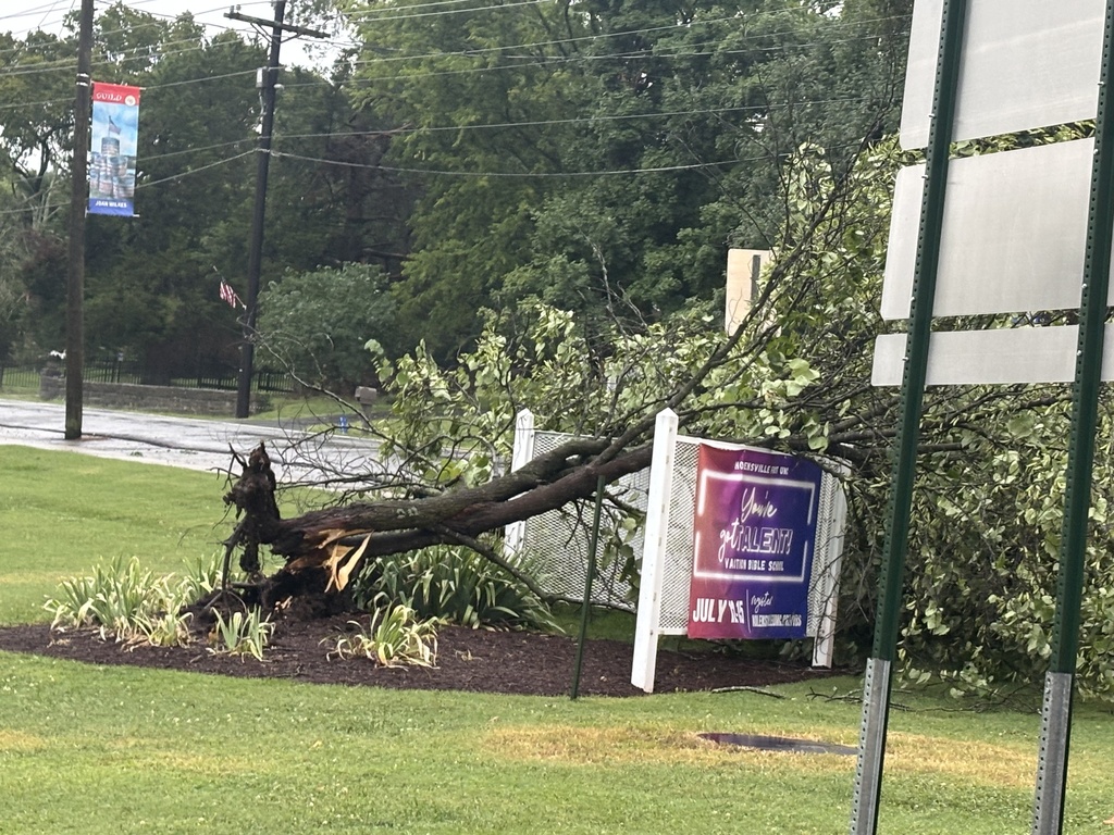 a downed tree leaning on the Nolensville First United Methodist Church sign