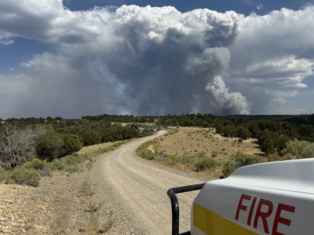 Smoke plume rising in blue sky with green trees on ground