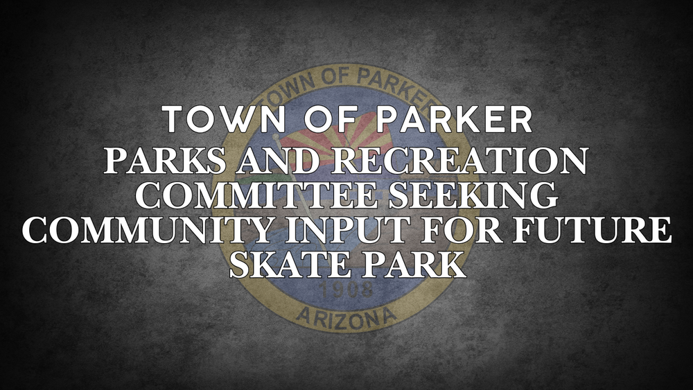 Community Input For Skate Park