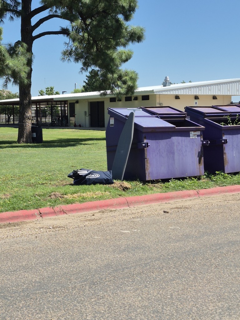 trash by dumpster