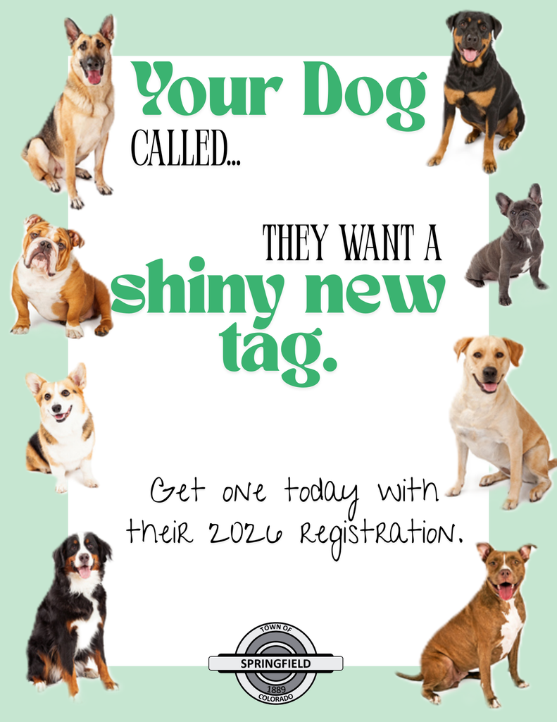 A mint green and white poster features several dog breeds including a German Shepherd, Rottweiler, French Bulldog, Labrador, Corgi, Bulldog, Bernese Mountain Dog, and Pit Bull placed around the border. The text in the center reads: “Your Dog called… They want a shiny new tag. Get one today with their 2026 registration.” At the bottom, there’s the Town of Springfield, Colorado logo.