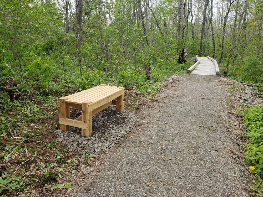 Trail and Bench