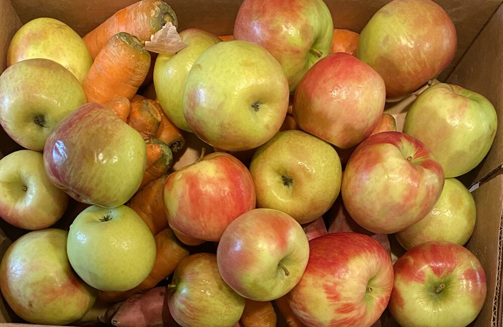 Apples