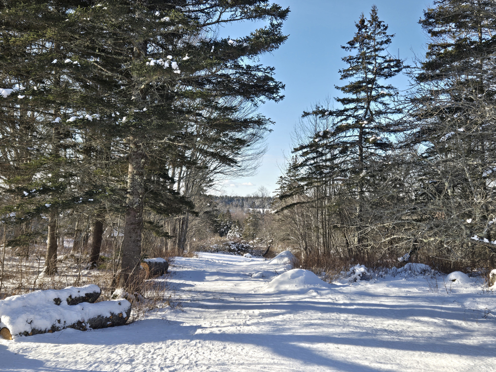 Open Space & Path