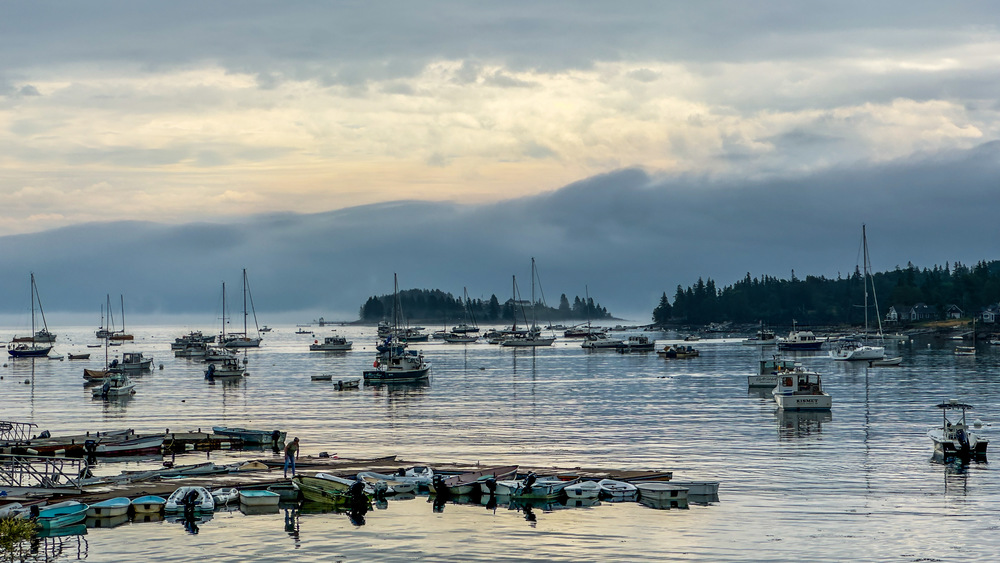 Harbor