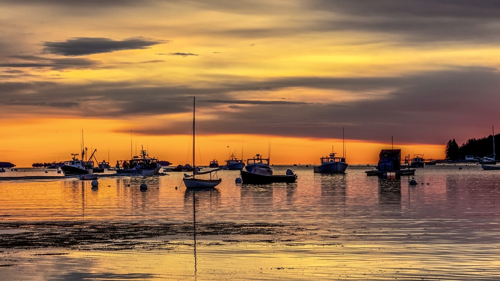 Boats in Water