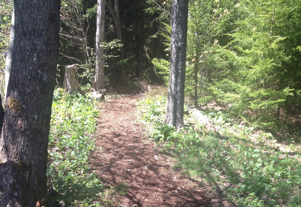 Trail