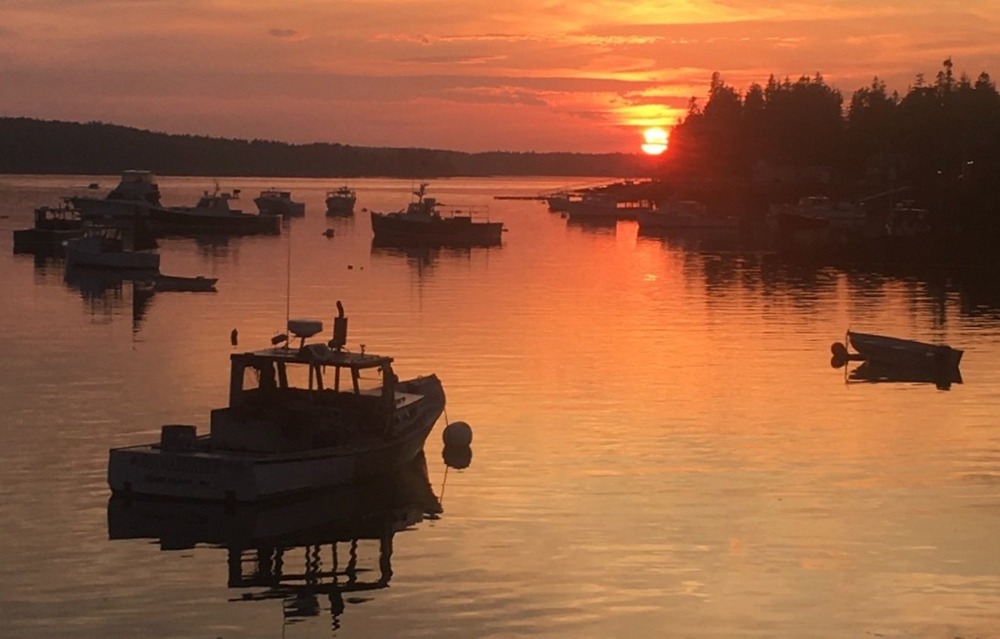 Boats in Harbor