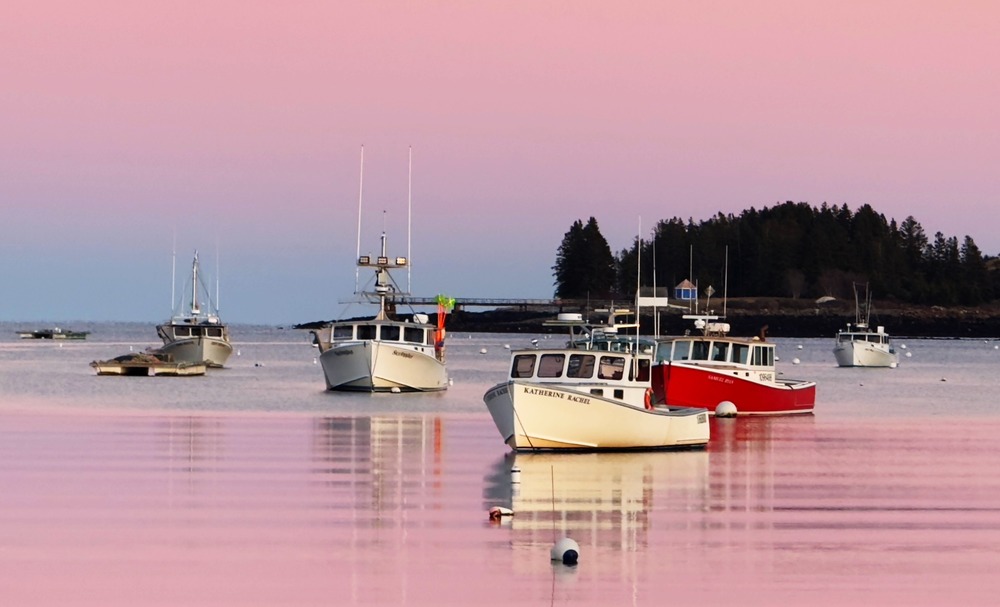 Boats on Mooring