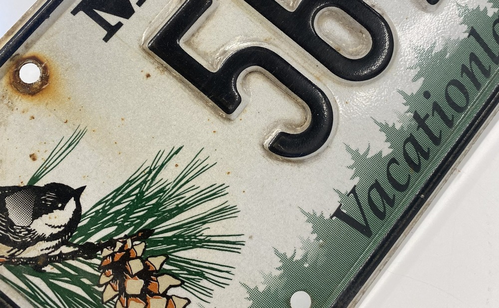 License Plate