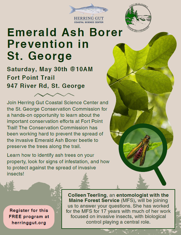 EAP Poster