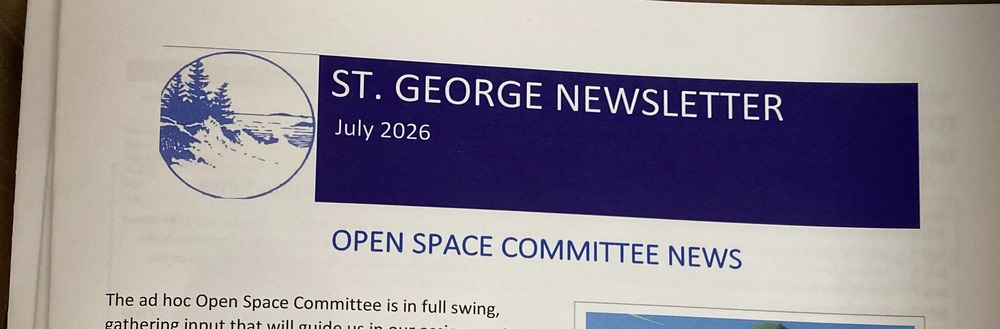 Newsletter Header