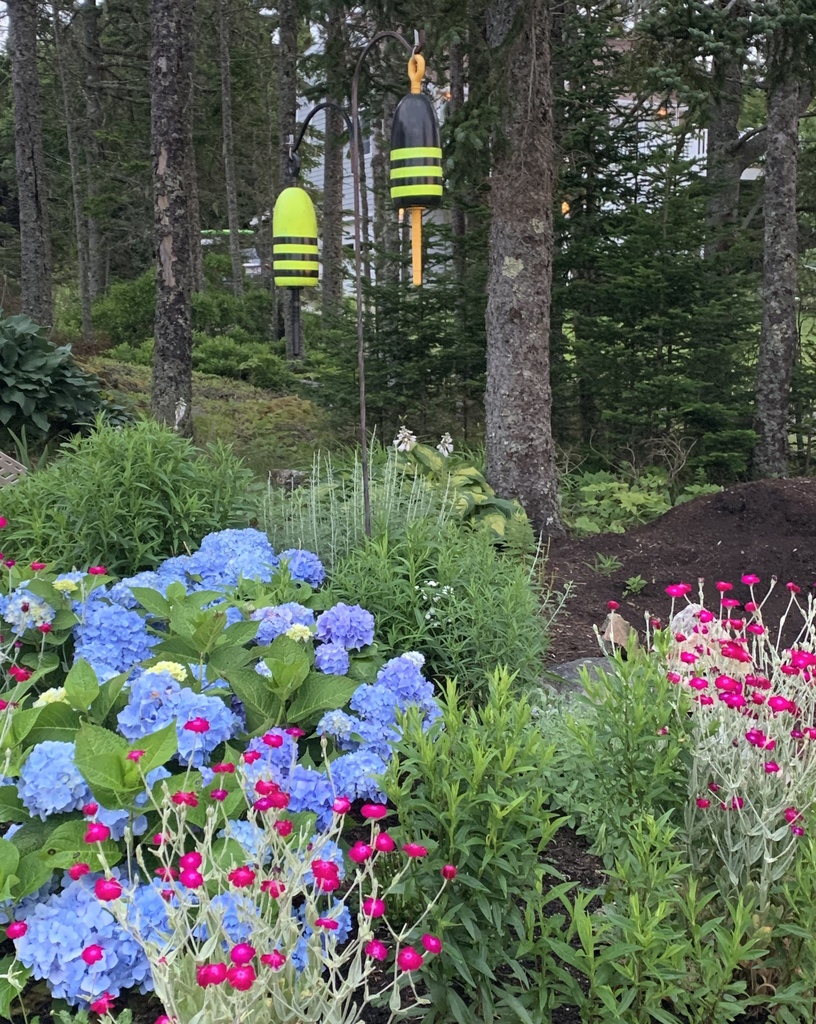 Flowers & Buoys