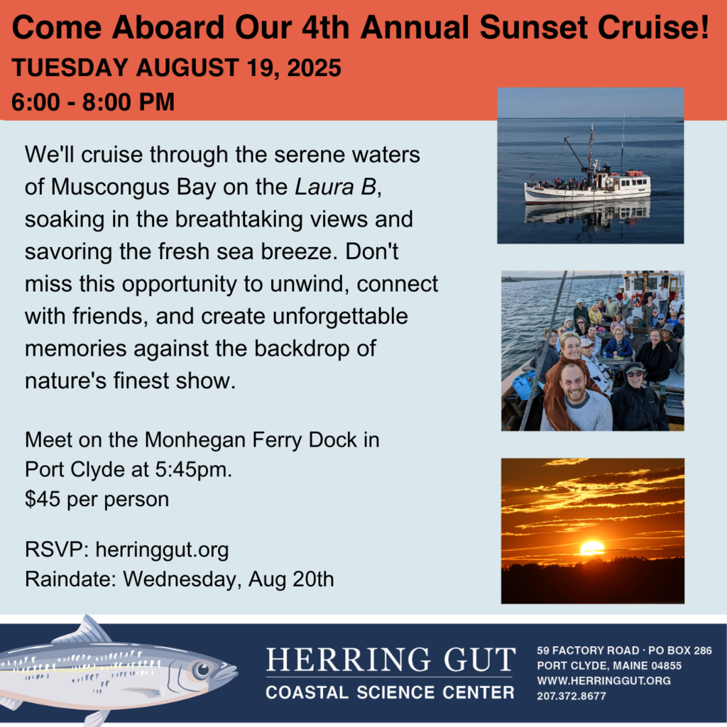 Herring Gut Cruise Info