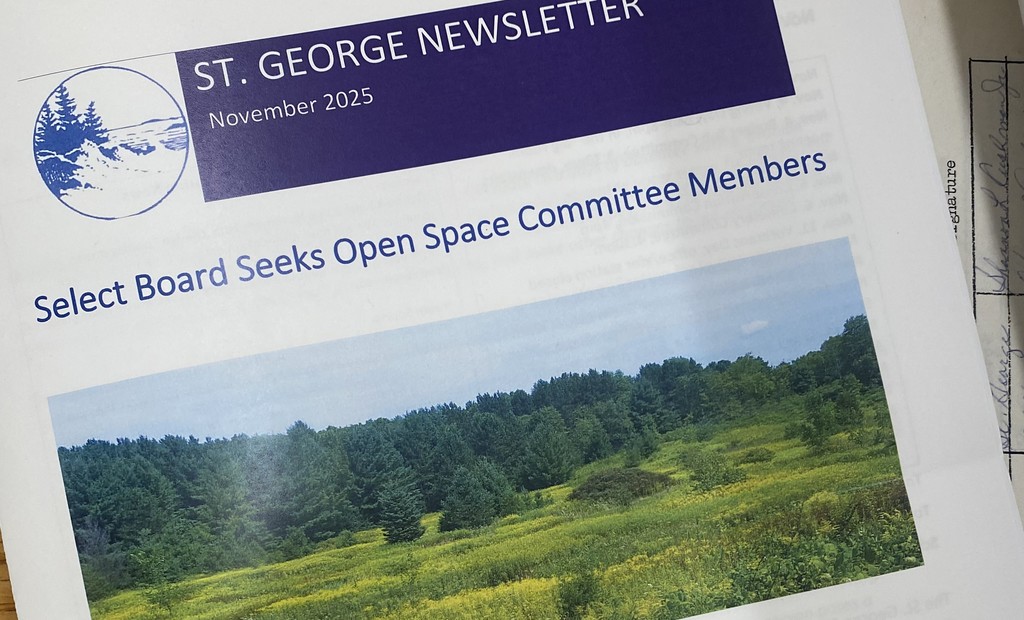 Newsletter Cover