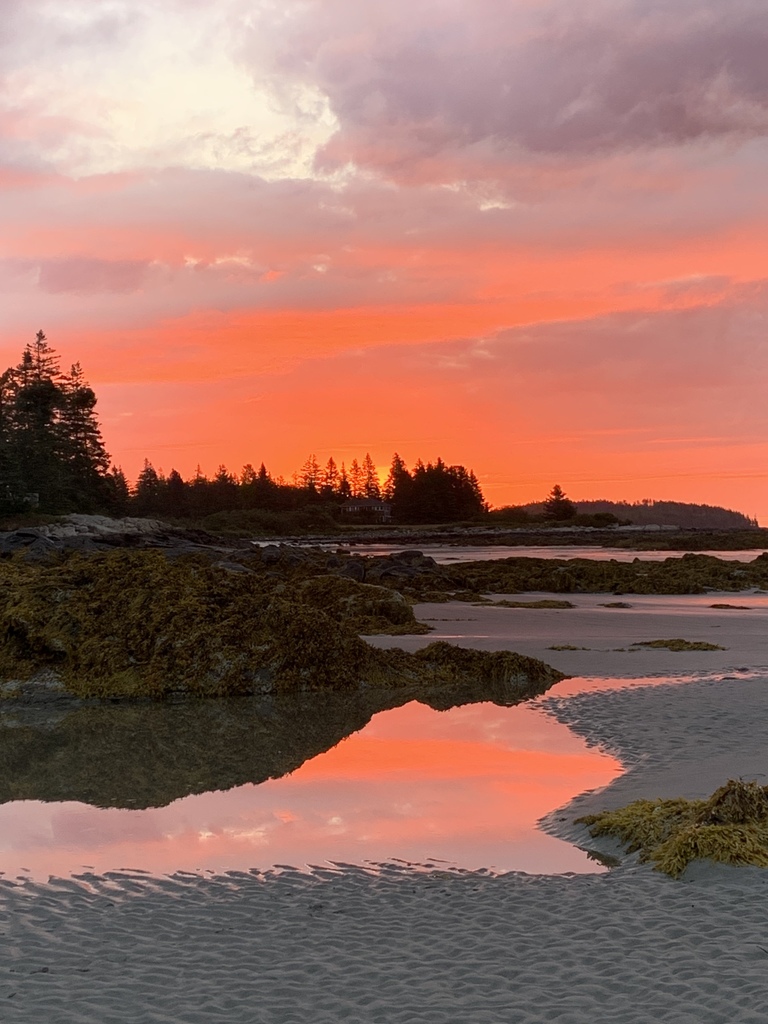 Pink Sky and Low Tide