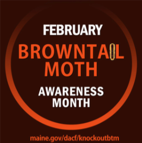 Browntail Moth Awareness Logo