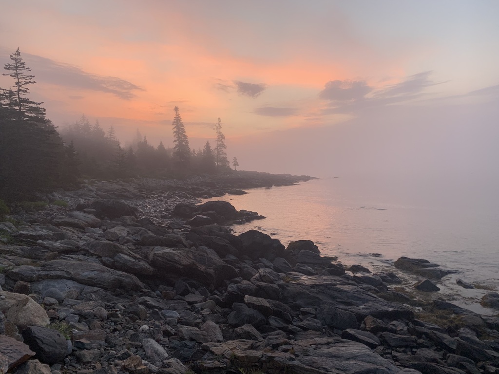 Pink Sky & Fog