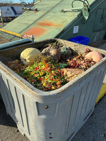 Compost Bin