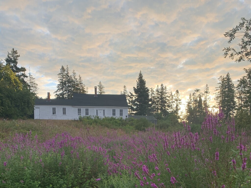 House and Flowers