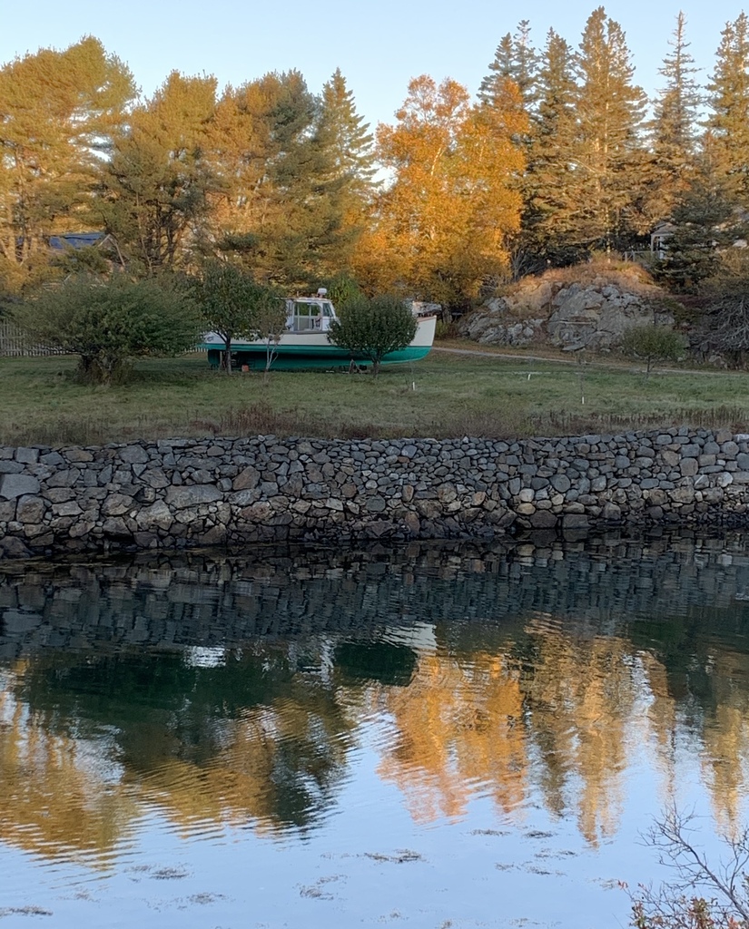 Boat and Foliage