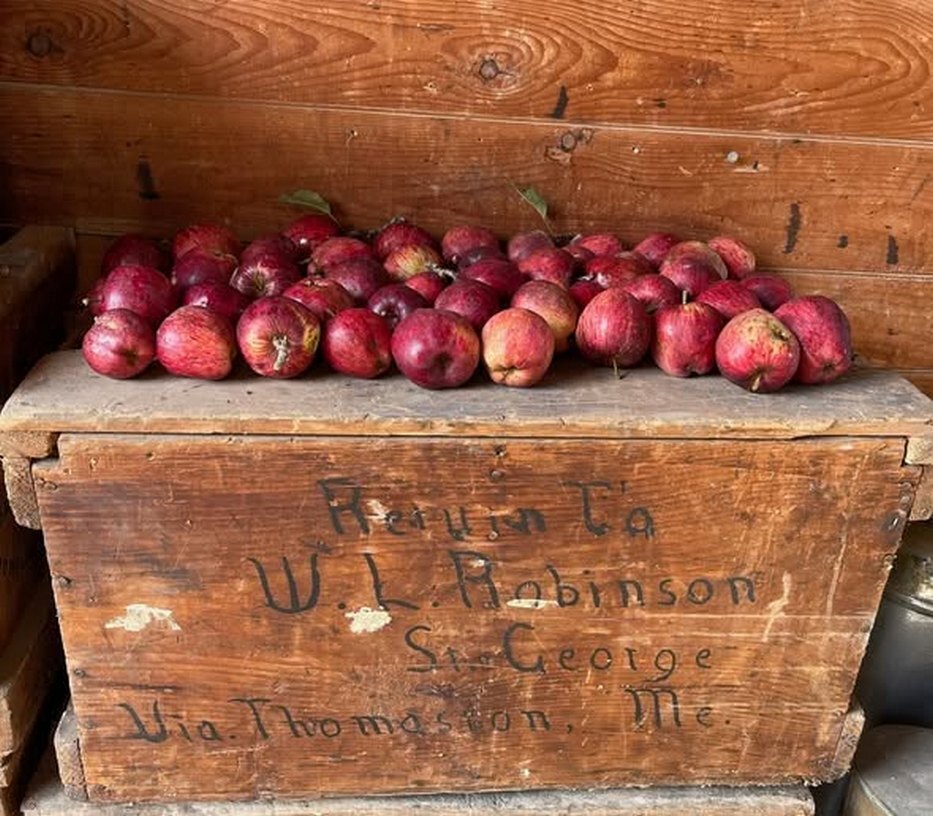 Apple Crate