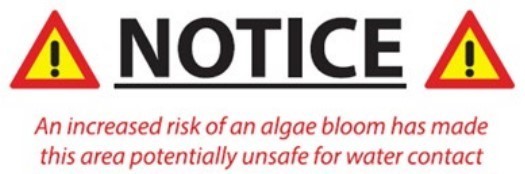 Algal Bloom