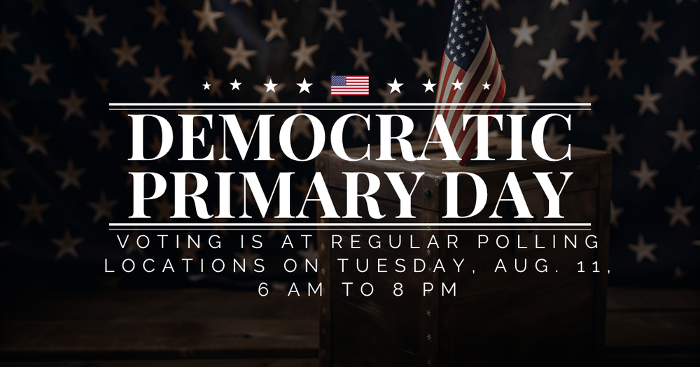 Primary day voting