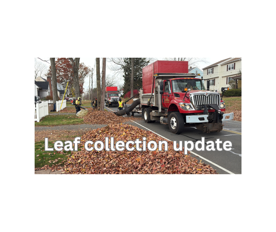 Leaf collection update