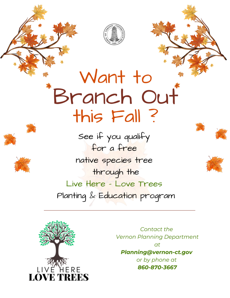 Want to branch out this fall - 2025
