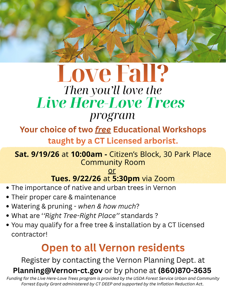 Live Here - Love Trees program workshops