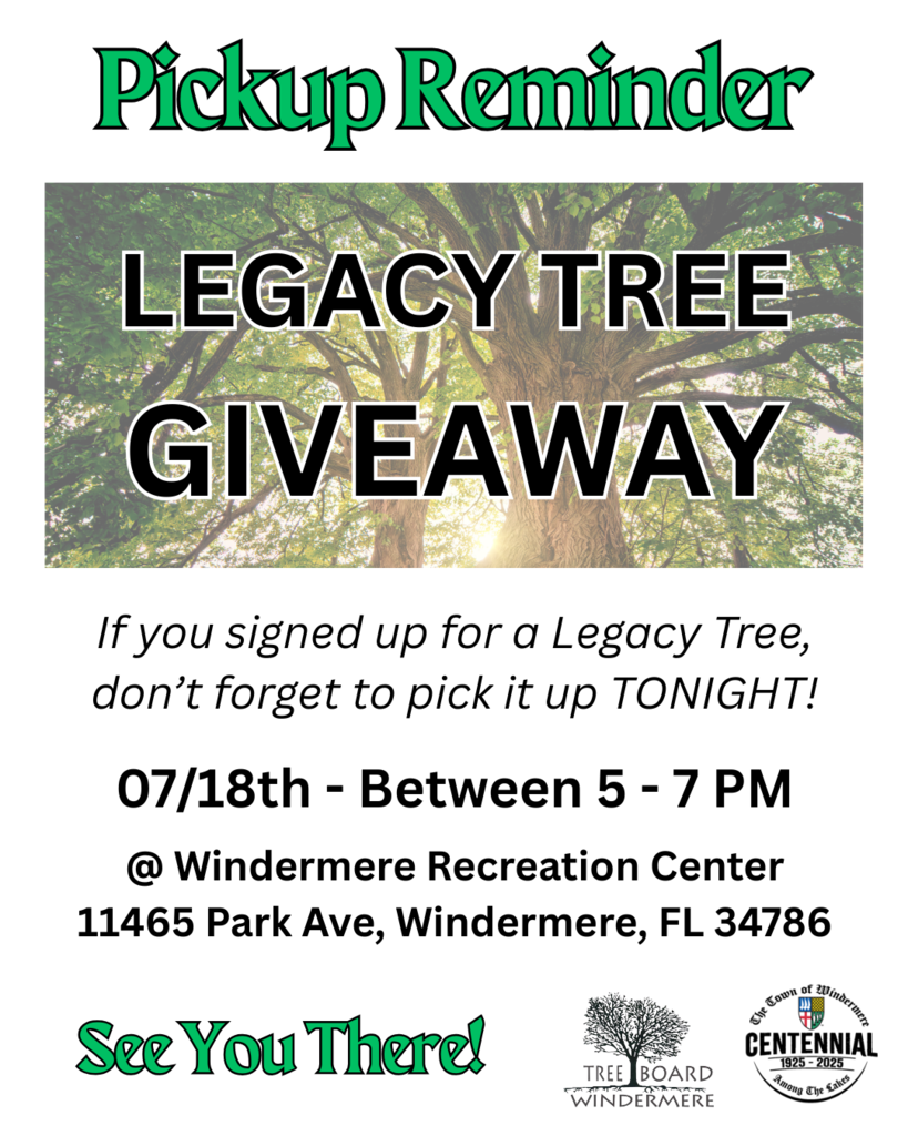 Tree Giveaway